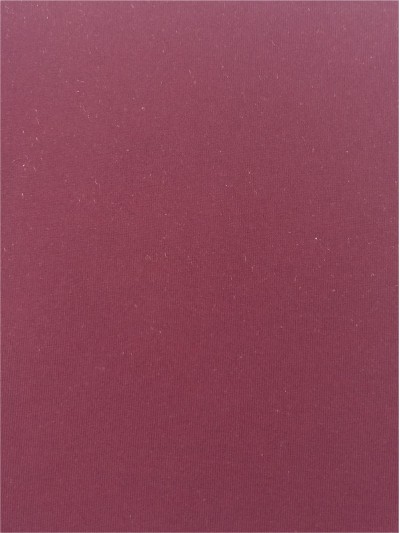 JS-YOLG  WD161 國產棉型錦氨 正面照